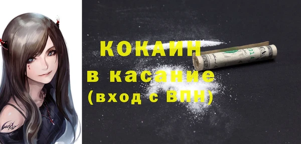apvp Алзамай