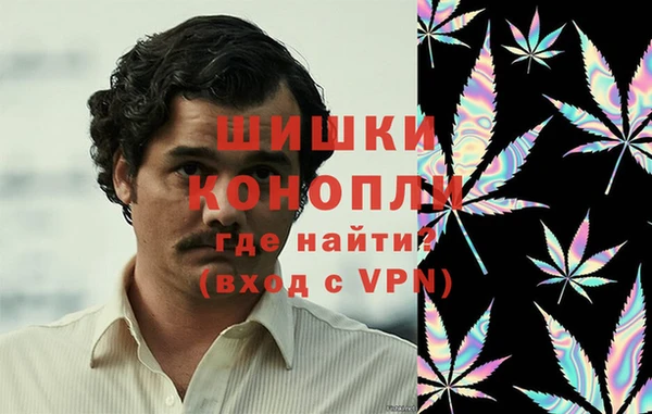 apvp Алзамай