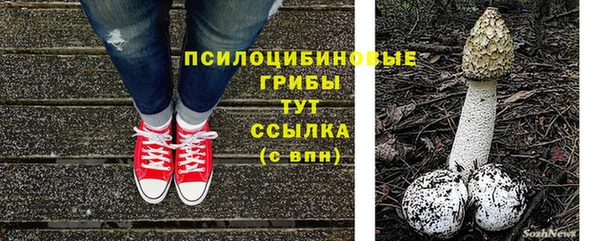 эйфоретик Алексеевка