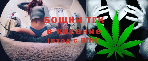 тгк Алексин