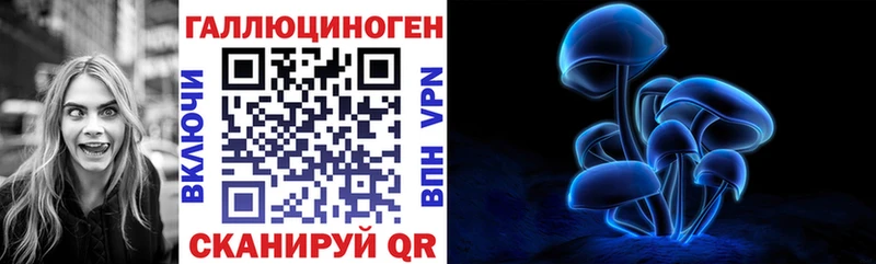 Галлюциногенные грибы Psilocybe Казань